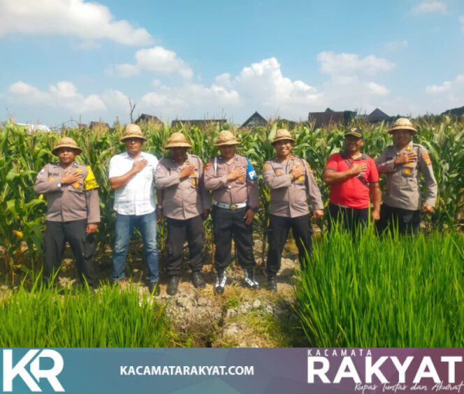 
					Panen Jagung Kwartal III Tahun 2026 Polsek Kediri Dipimpin Langsung Kapolsek Kediri di Banjar Gamongan*