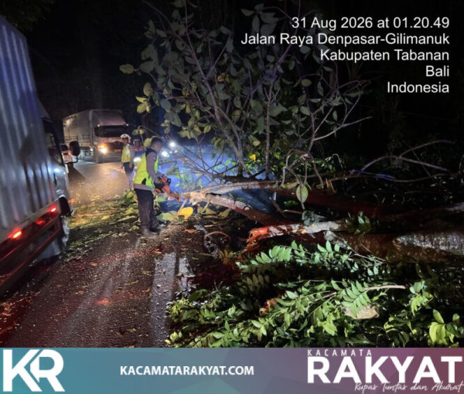 
					*Respon Kilat Layanan 110, Polsek Selemadeg Evakuasi Pohon Tumbang