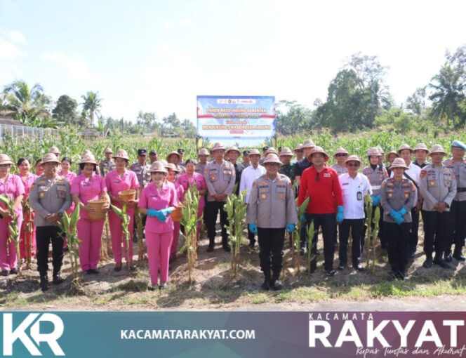
					Panen Raya Jagung di Gianyar, Polres Gianyar Dorong Penguatan Ketahanan Pangan dan Kesejahteraan Petani