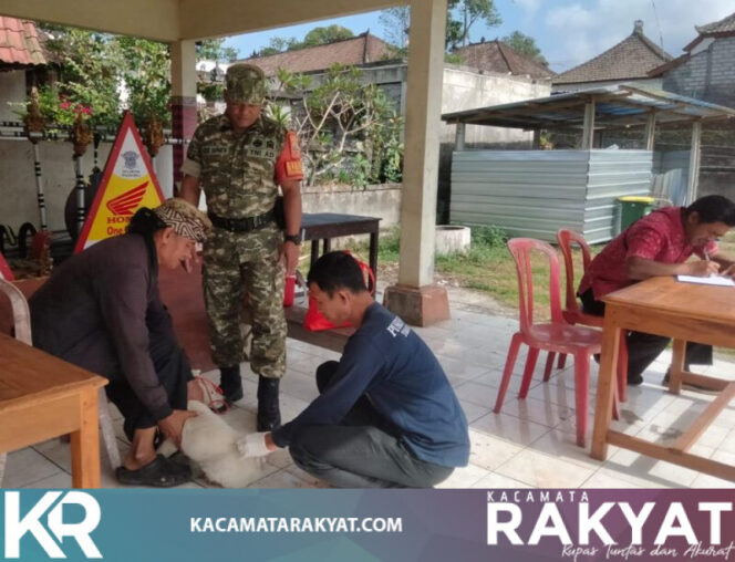 
					Babinsa Wongaya Gede Dampingi Vaksinasi Rabies, 218 Hewan Peliharaan Warga Divaksin