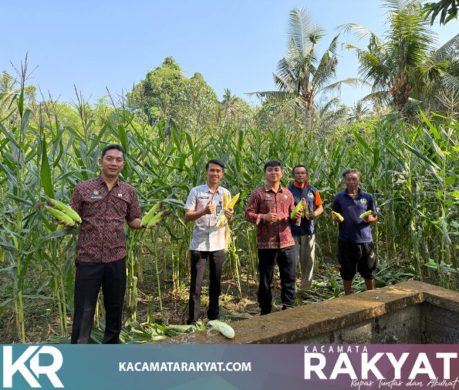 
					Dari Merawat hingga Memanen, SAE Lapas Tabanan Jadi Ruang Belajar Warga Binaan